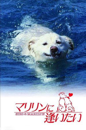 Marilyn ni aitai's poster
