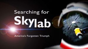 Searching for Skylab's poster