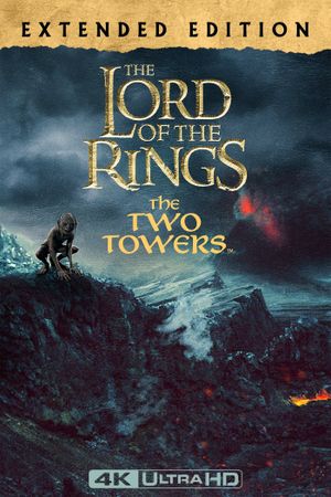 The Lord of the Rings: The Two Towers's poster