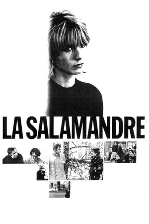 The Salamander's poster