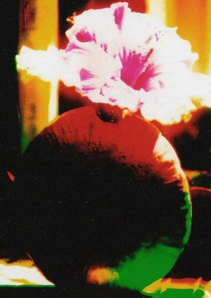 The Room of Chromatic Mystery's poster
