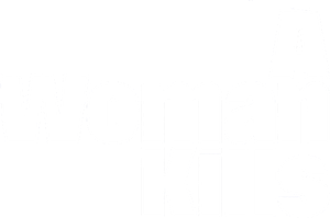A Woman Kills's poster