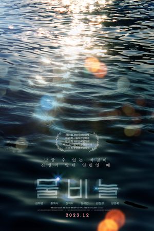 The Ripple's poster
