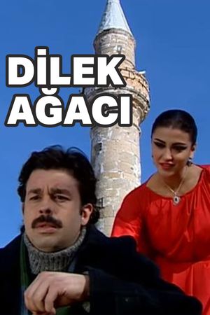 Dilek Ağacı's poster