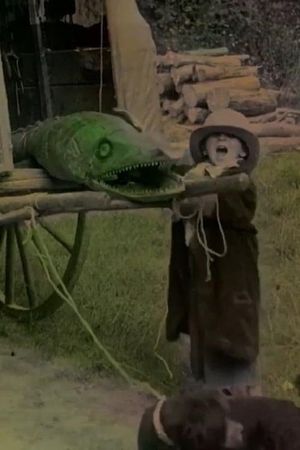 Bout-de-Zan and the Crocodile's poster