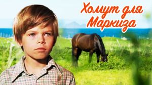 Khomut dlya markiza's poster
