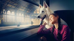 The Dog Who Travelled by Train's poster