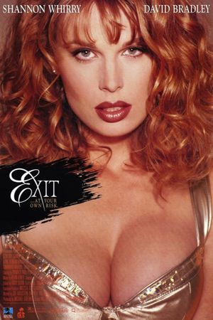 Exit's poster