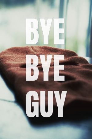 Bye-Bye Guy's poster