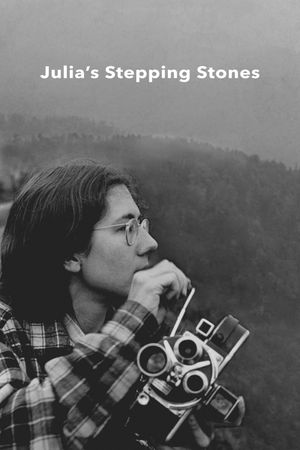Julia's Stepping Stones's poster