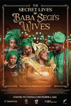The Secret Lives of Baba Segi's Wives's poster image