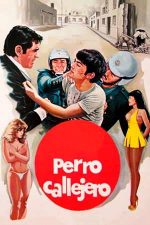Perro callejero's poster