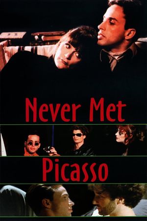 Never Met Picasso's poster image