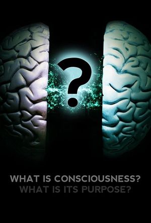 What Is Consciousness? What Is Its Purpose?'s poster
