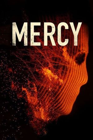 Mercy's poster