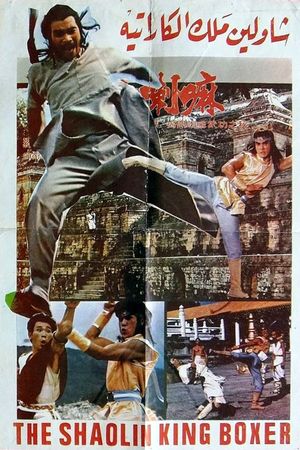 Tie quan's poster