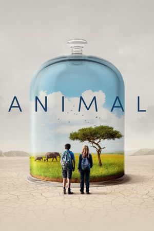 Animal's poster