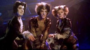 Cats's poster