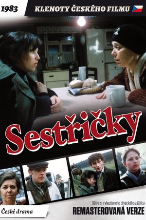 Sestricky's poster