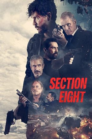 Section 8's poster