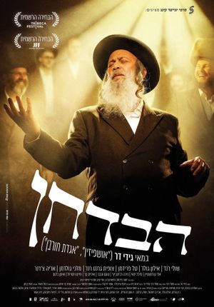 The Wedding Entertainer (The Tale of Moishe Badhan)'s poster image