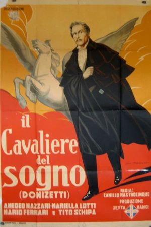 Life of Donizetti's poster