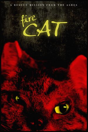 Fire Cat's poster