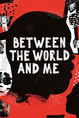 Between the World and Me's poster
