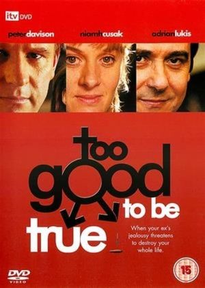 Too Good to Be True's poster