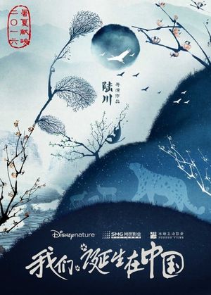 Born in China's poster
