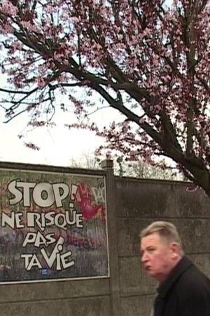 Une Vie Risquée's poster