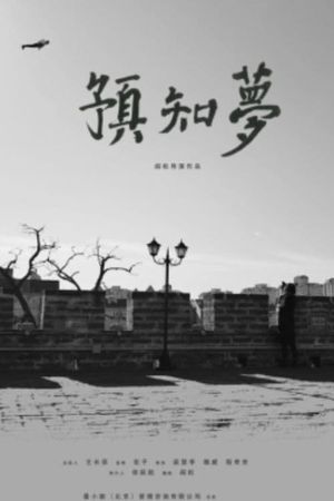 预知梦's poster image