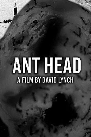 Ant Head's poster