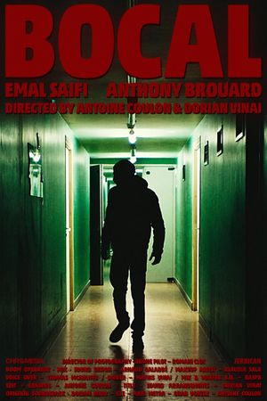 BOCAL's poster