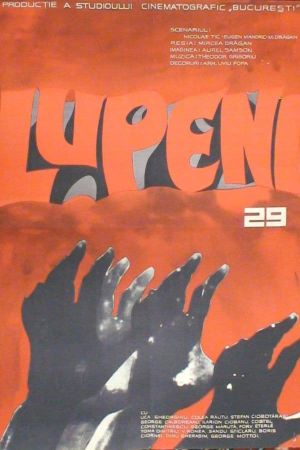 Lupeni 29's poster image