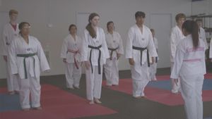 Karate Princess's poster
