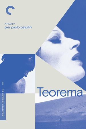 Teorema's poster