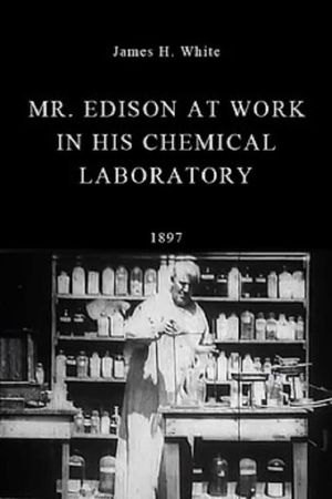 Mr. Edison at Work in His Chemical Laboratory's poster image