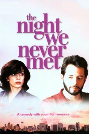 The Night We Never Met's poster