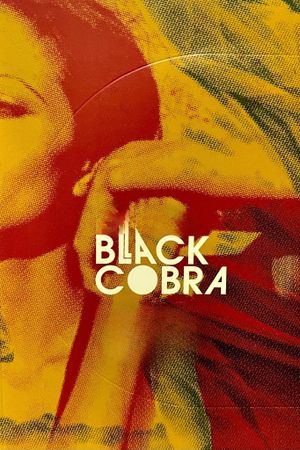 Black Cobra's poster