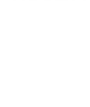 The Fall's poster
