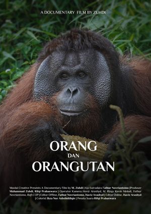 Orang & Orang Utan's poster