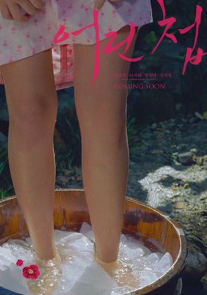 어린 첩's poster image