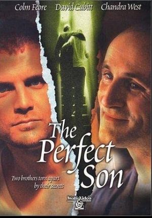 A Perfect Son's poster