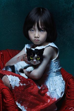 The Cat's poster