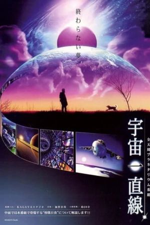 Straight into the Universe's poster