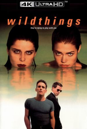 Wild Things's poster
