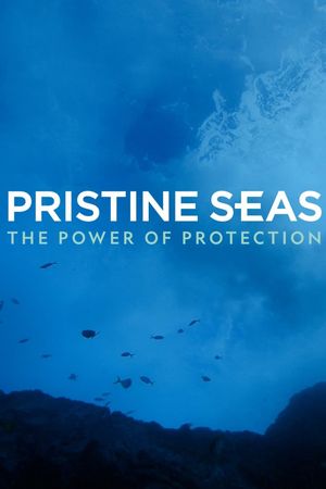 Pristine Seas: The Power of Protection's poster