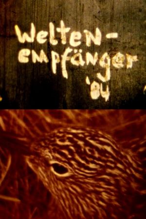 Weltenempfänger's poster