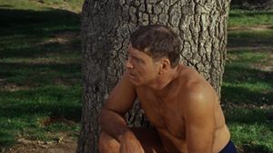 The Swimmer's poster